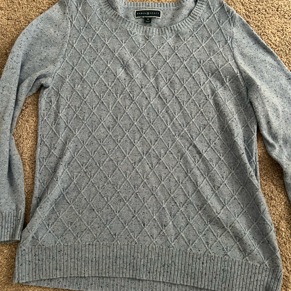 Karen Scott Light Blue Sweater